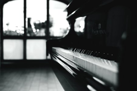 Black Grand Piano Gray Scale Photo photo