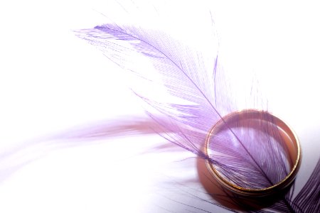 Colored Feather