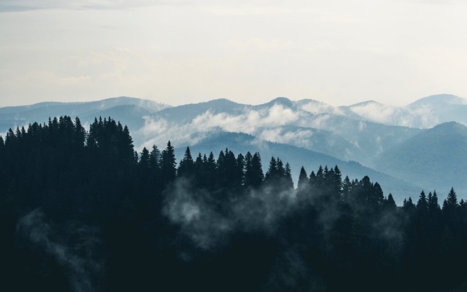 View Of Mountains