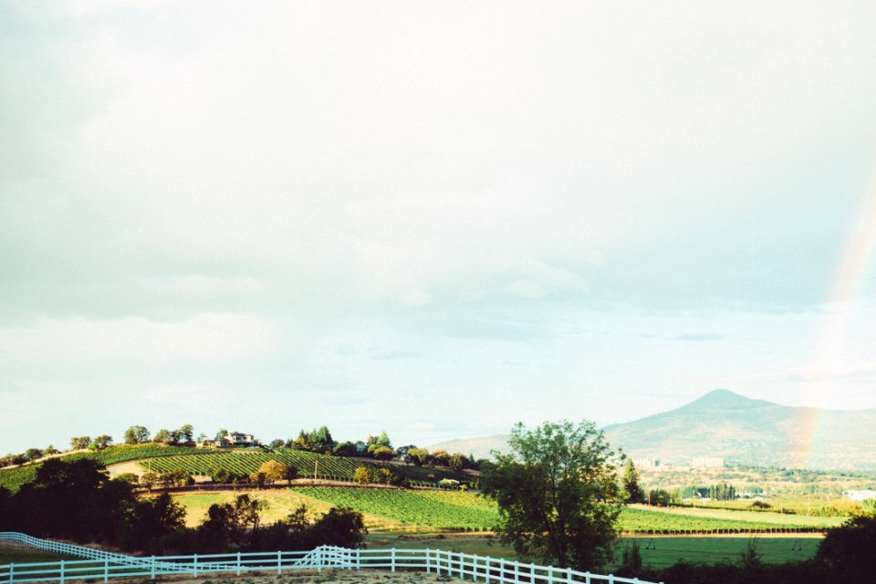 View Of A Meadow