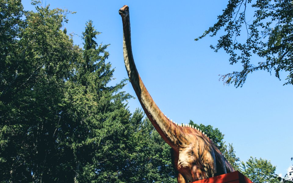 Long Necked Dinosaur