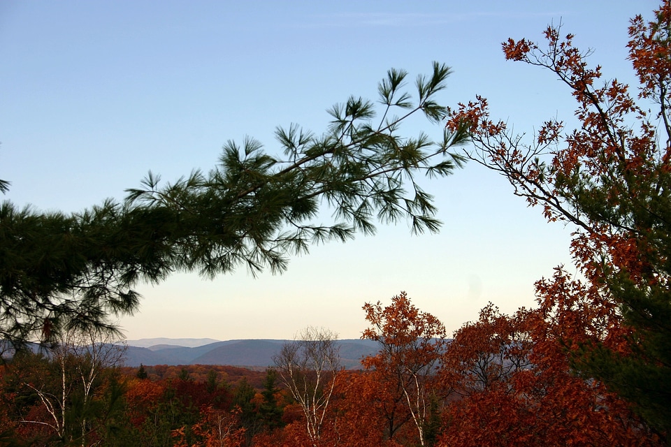 Woods mountains nature