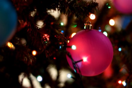 Close-up Of Christmas Tree At Night photo