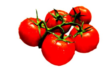 Red Green Tomato Fruit photo