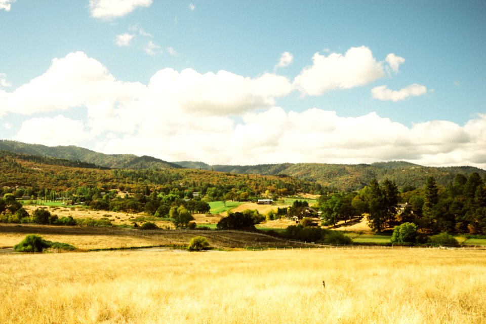 Landscape With Meadow