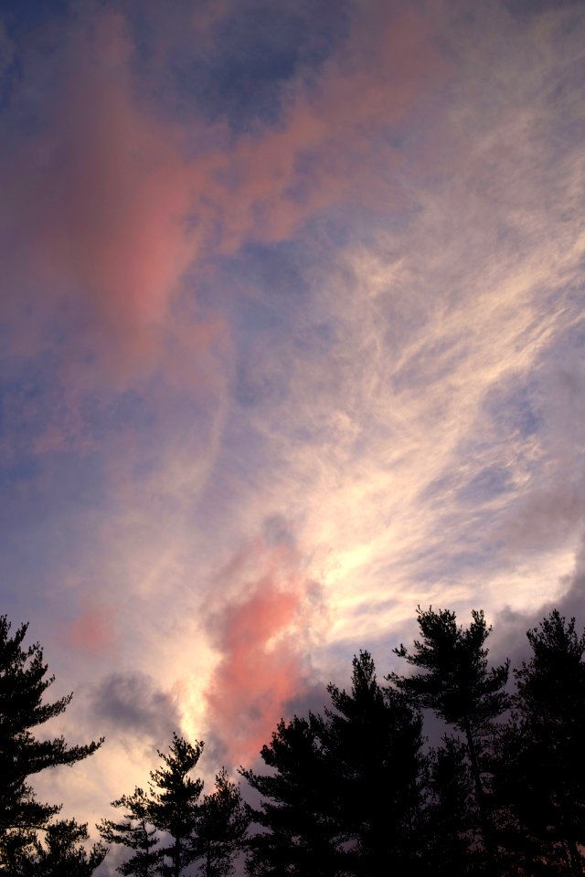 Dramatic Cloudscape Over Trees