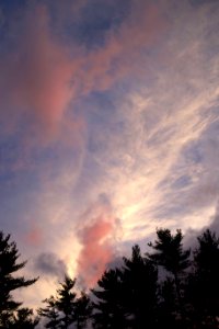 Dramatic Cloudscape Over Trees