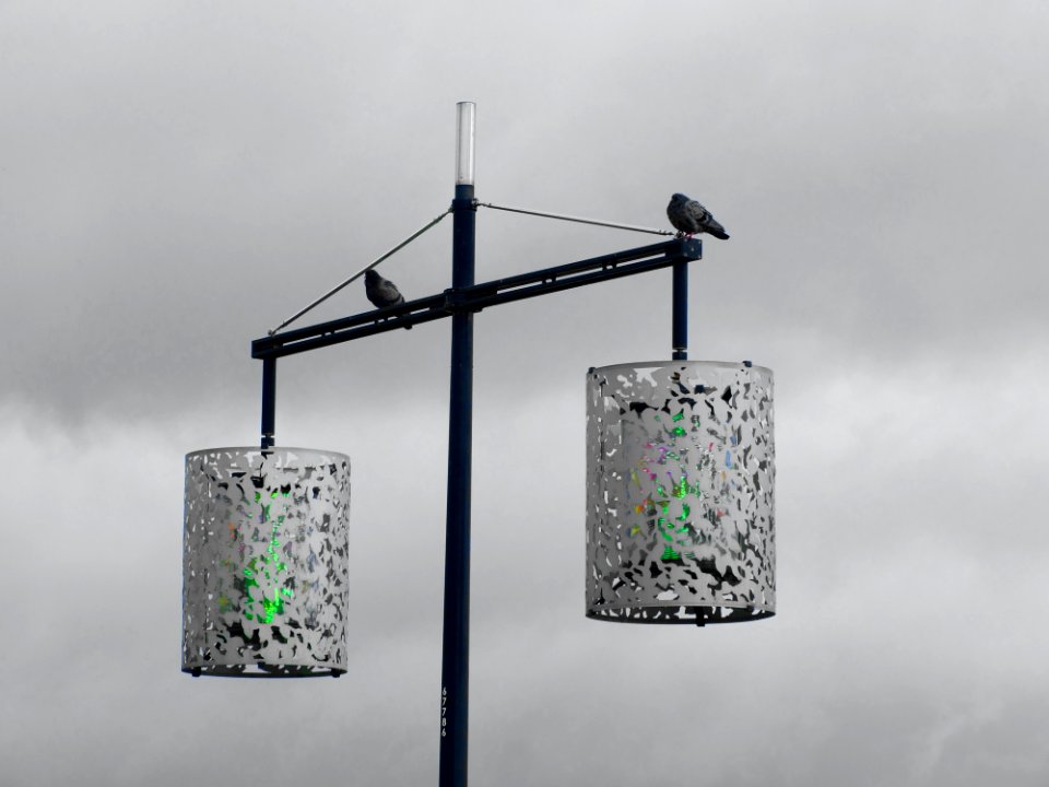 2 Street Light With 2 Bird Grayscale Photography