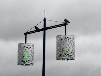 2 Street Light With 2 Bird Grayscale Photography