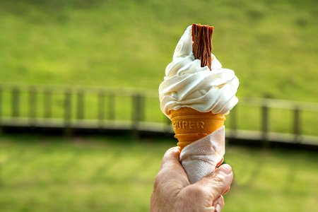 Vanila Sundae With Choco On Top