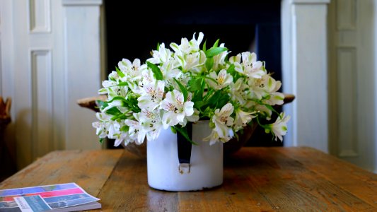 White Petaled Flower On White Flower Vase photo