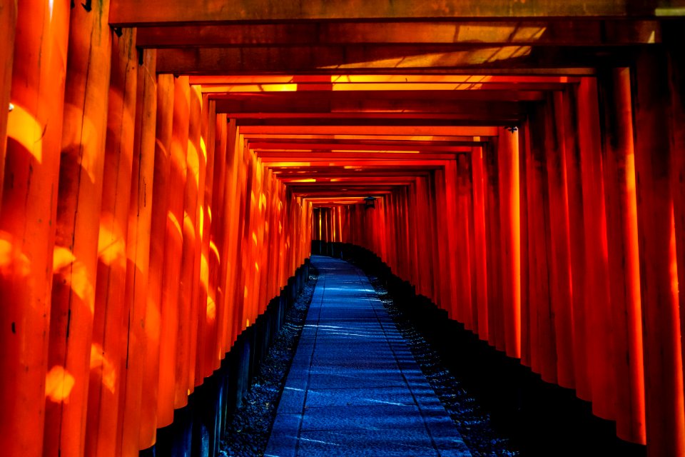 Blue And Orange Wooden Pathway photo