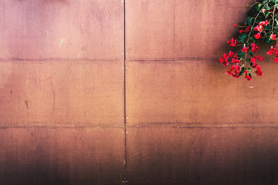 Flowers On Wood Paneled Fence