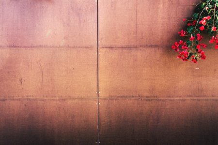 Flowers On Wood Paneled Fence
