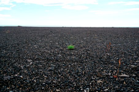 Stones And Pebbles Covering Ground