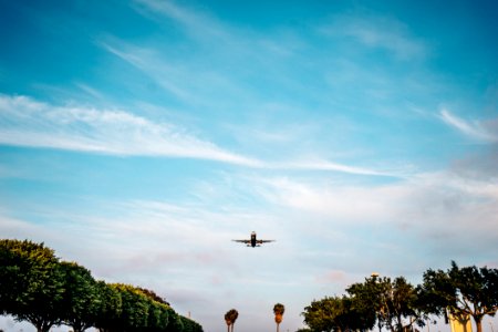 Airplane In Flight