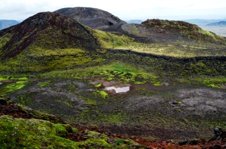 Hills Covered In Moss