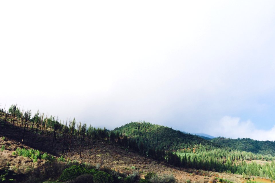 Hillside In Cloudy Weather