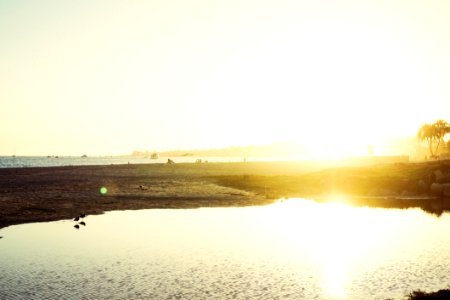 Sunshine On Beach