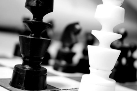 Chess Pieces On Board photo