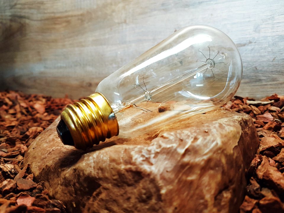 Clear Glass Light Bulb
