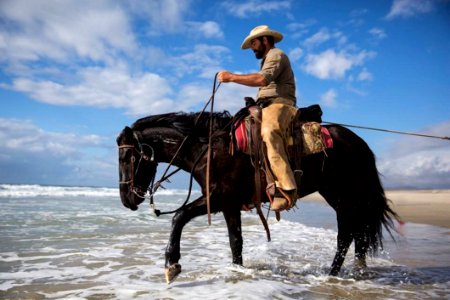 Man With Horse Wading In Water