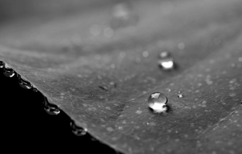 Grayscale Photography Of Water Droplets photo