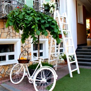 White Step Through Bicycle Leaning Beside Tree Plant photo
