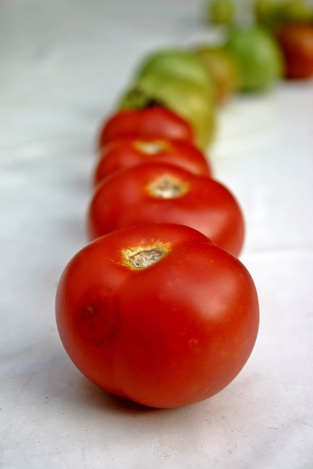 Plant fruit nature