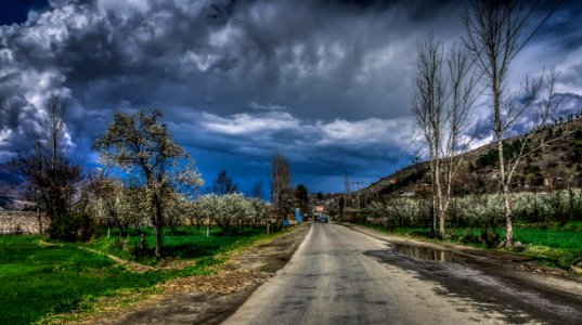 Empty Concrete Road Surrounded By Trees And Grass Under Blue Sky With Heavy Clouds photo