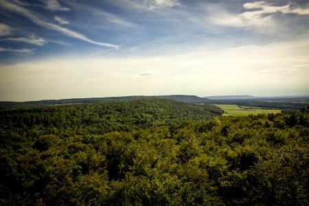 Aerial Photography Of Green Trees photo