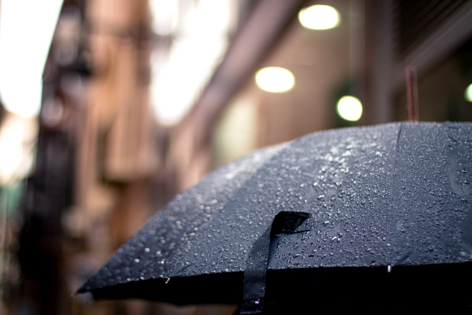 Umbrella In The Rain