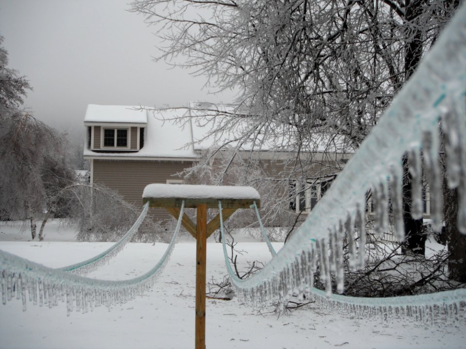 Brown And White Frozen Wire Connected To Brown Wooden Post