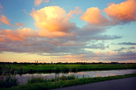 Swamp Surrounded With Green Grasses Near Pathway During Golden Hour photo