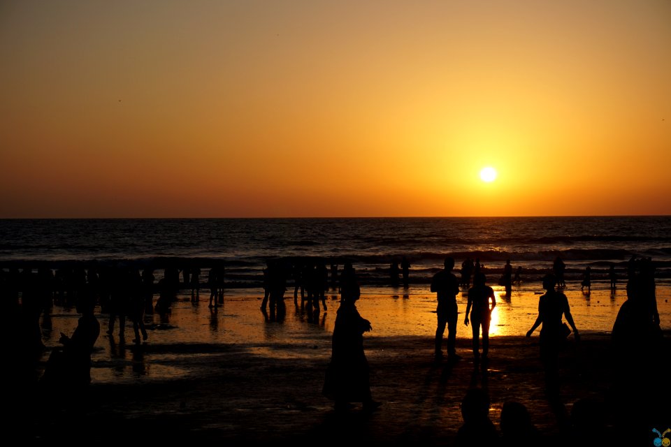 Silhouettes Of People On Beach At Sunset photo