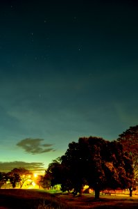 Photography Of Tree During Sunset photo