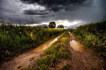 Muddy Road Through Country Fields photo