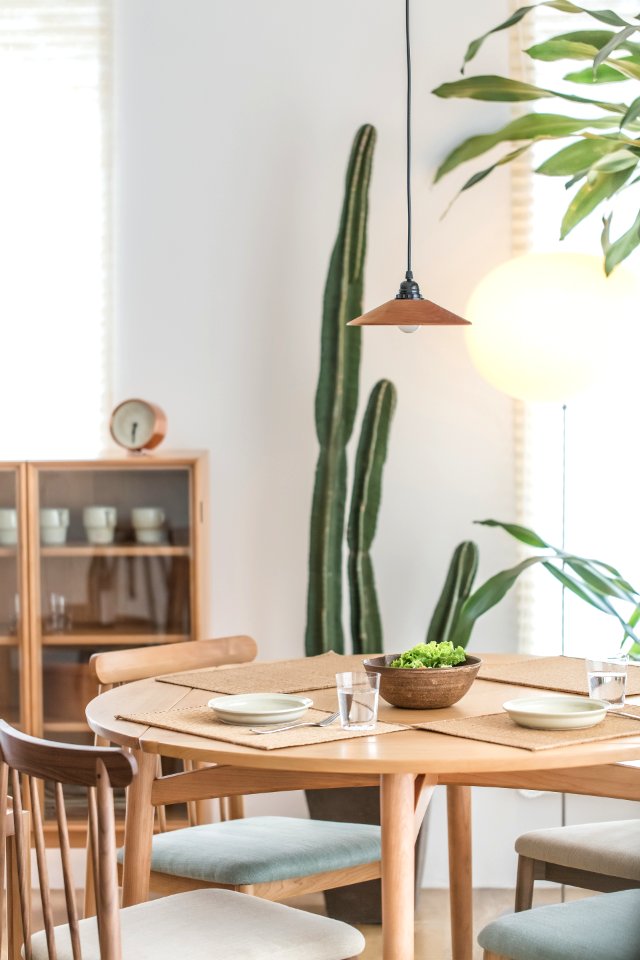 Green Cactus Plant Near To White Ceramic Plate On Brown Wooden Table photo