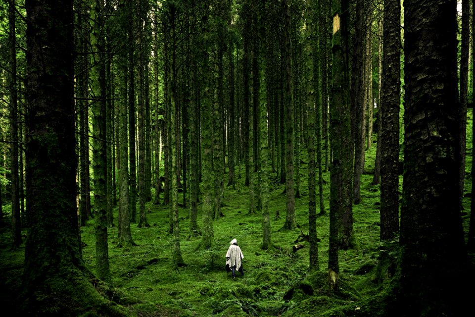 Hiker In Green Field