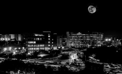 Full Moon Above City photo