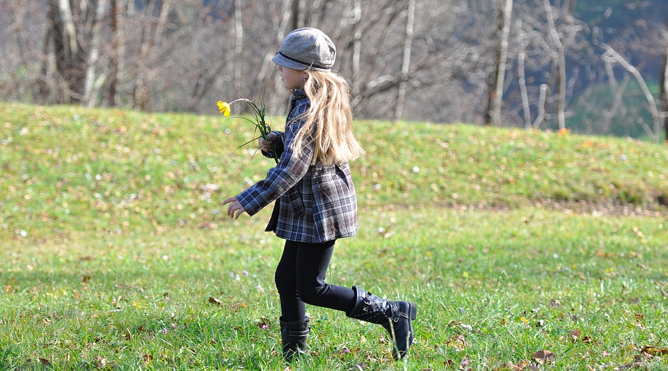 Blond run meadow