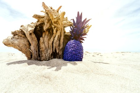 Purple Pineapple On Beach photo