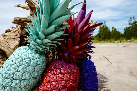 Colorful Pineapples On Beach photo