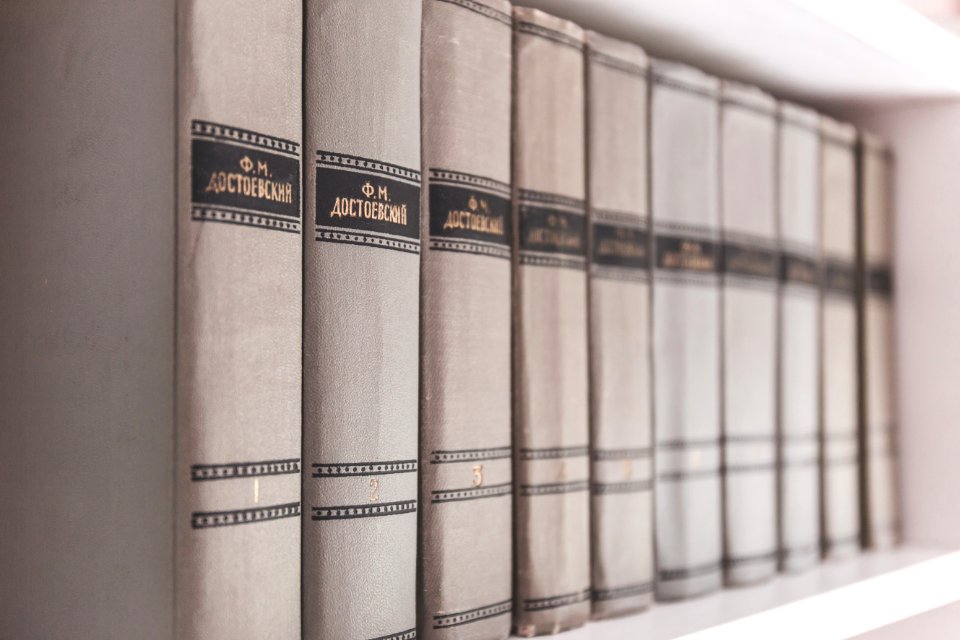 Encyclopedias On Shelf photo
