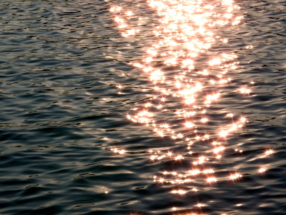 Sea Water Photo