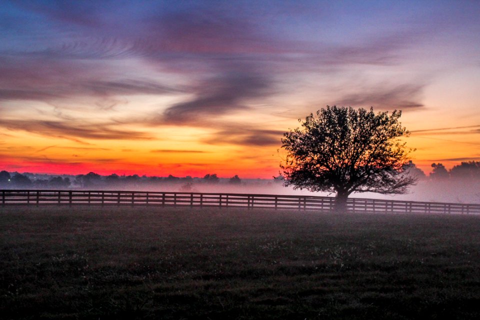 Sunrise On Meadow