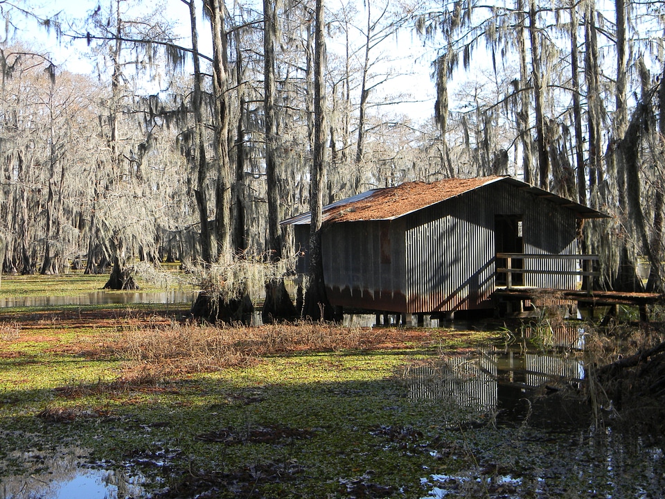 Shack rural wetlands