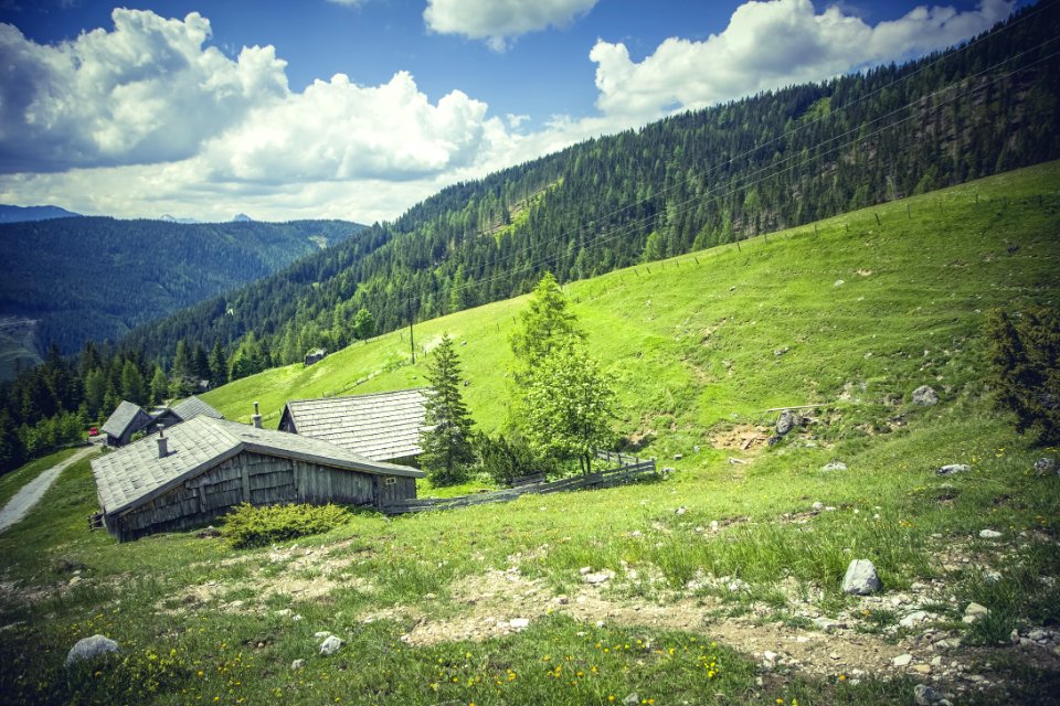 Grey Shed Surrounded By Green Grass During Daytime photo