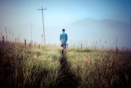 Man In Meadow photo