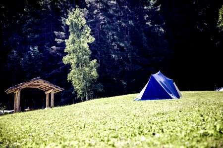 Blue And White Tent On Green Grass Field Near Green Tree photo